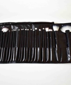 SET DE BROCHAS X 24 U