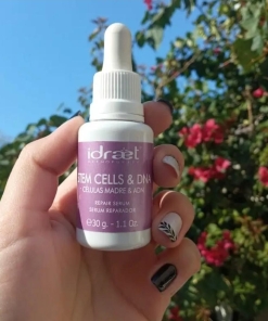 CELULAS MADRES & DNA - SERUM CELLS & ADN- IDRAET