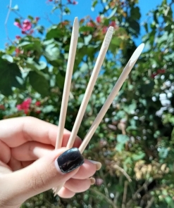 10 U - PALITO DE NARANJO