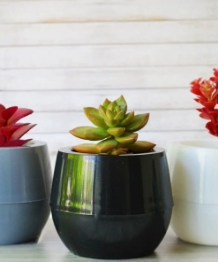 Alternative view of MACETAS DE AUTORRIEGO